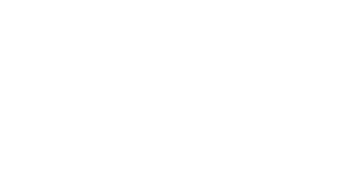 __citroenx